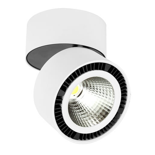 PTLLED-209/24W/30B PTLLED-209/24W/30B