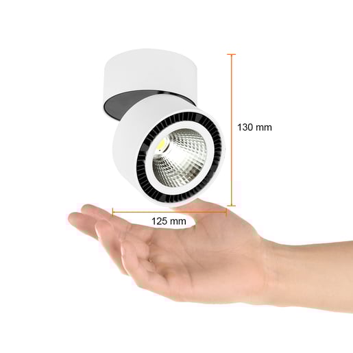 PTLLED-209/24W/30B PTLLED-209/24W/30B